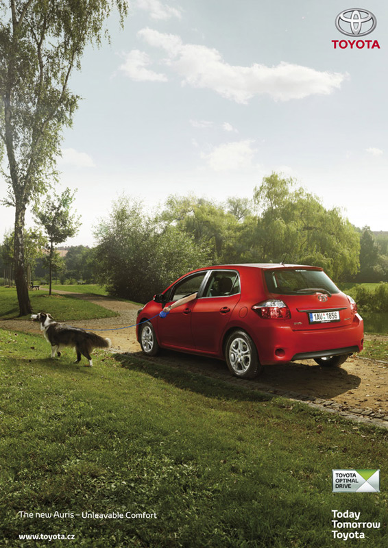 Auris_print_1-saintjames